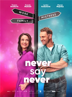 Never Say Never 